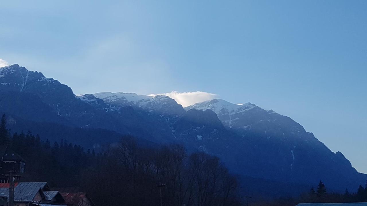 Apartament Greenstar Sinaia Zewnętrze zdjęcie