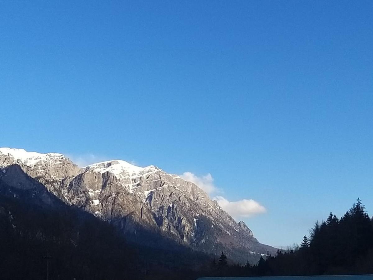 Apartament Greenstar Sinaia Zewnętrze zdjęcie
