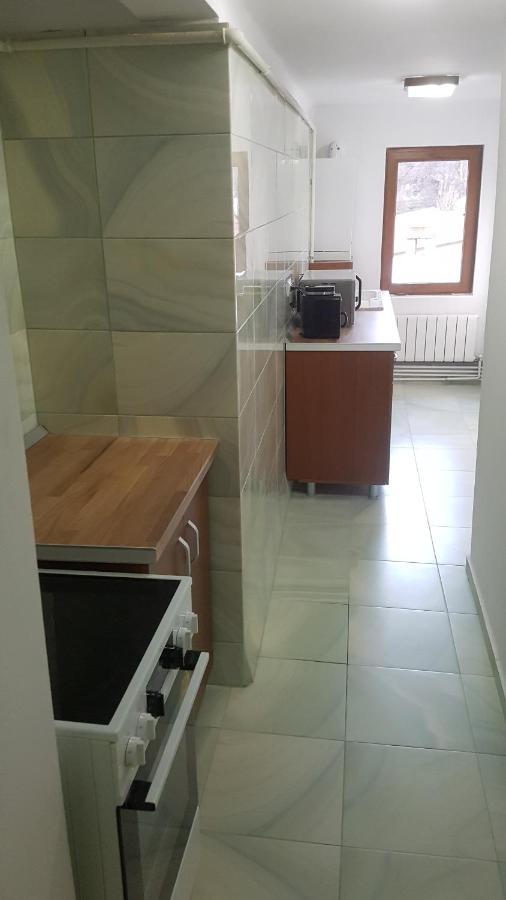 Apartament Greenstar Sinaia Zewnętrze zdjęcie