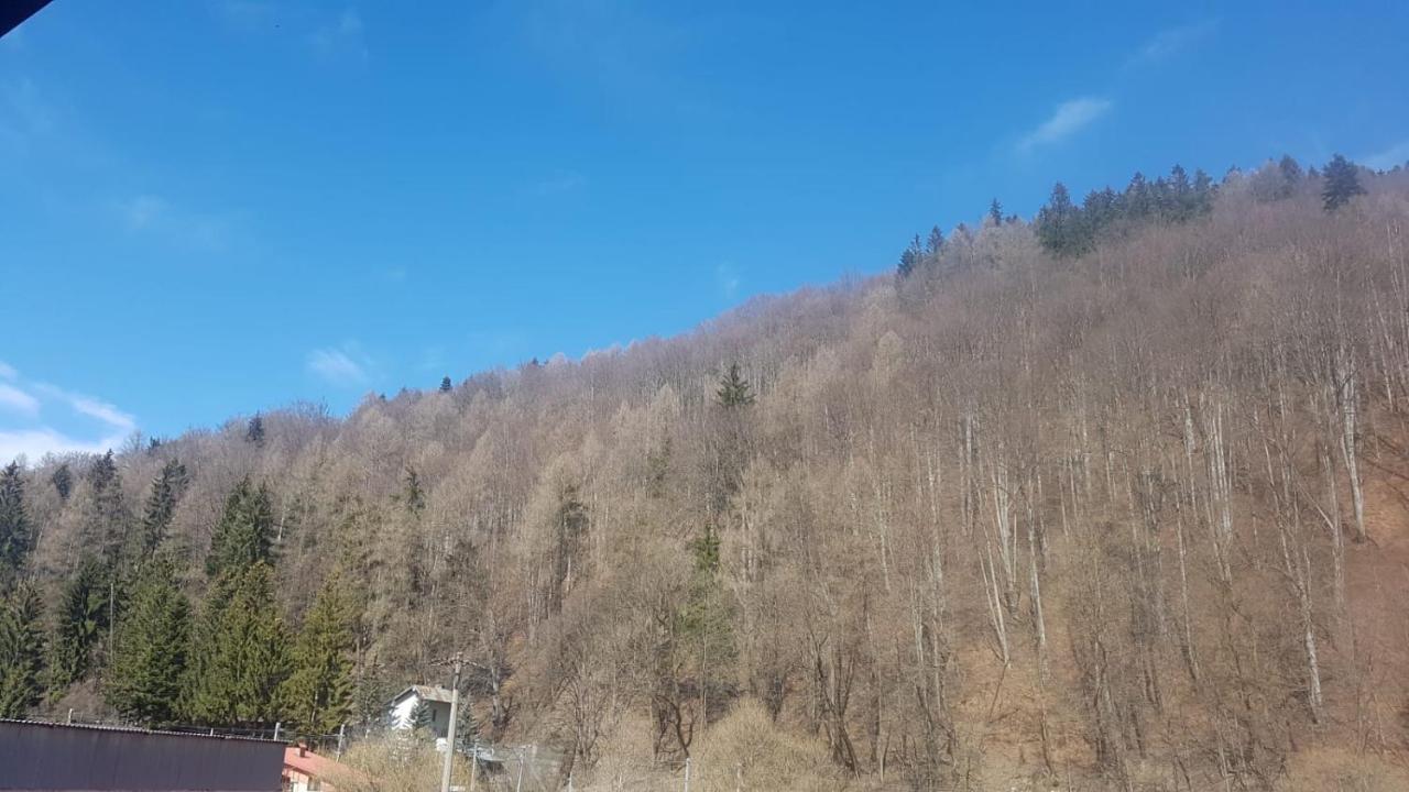 Apartament Greenstar Sinaia Zewnętrze zdjęcie