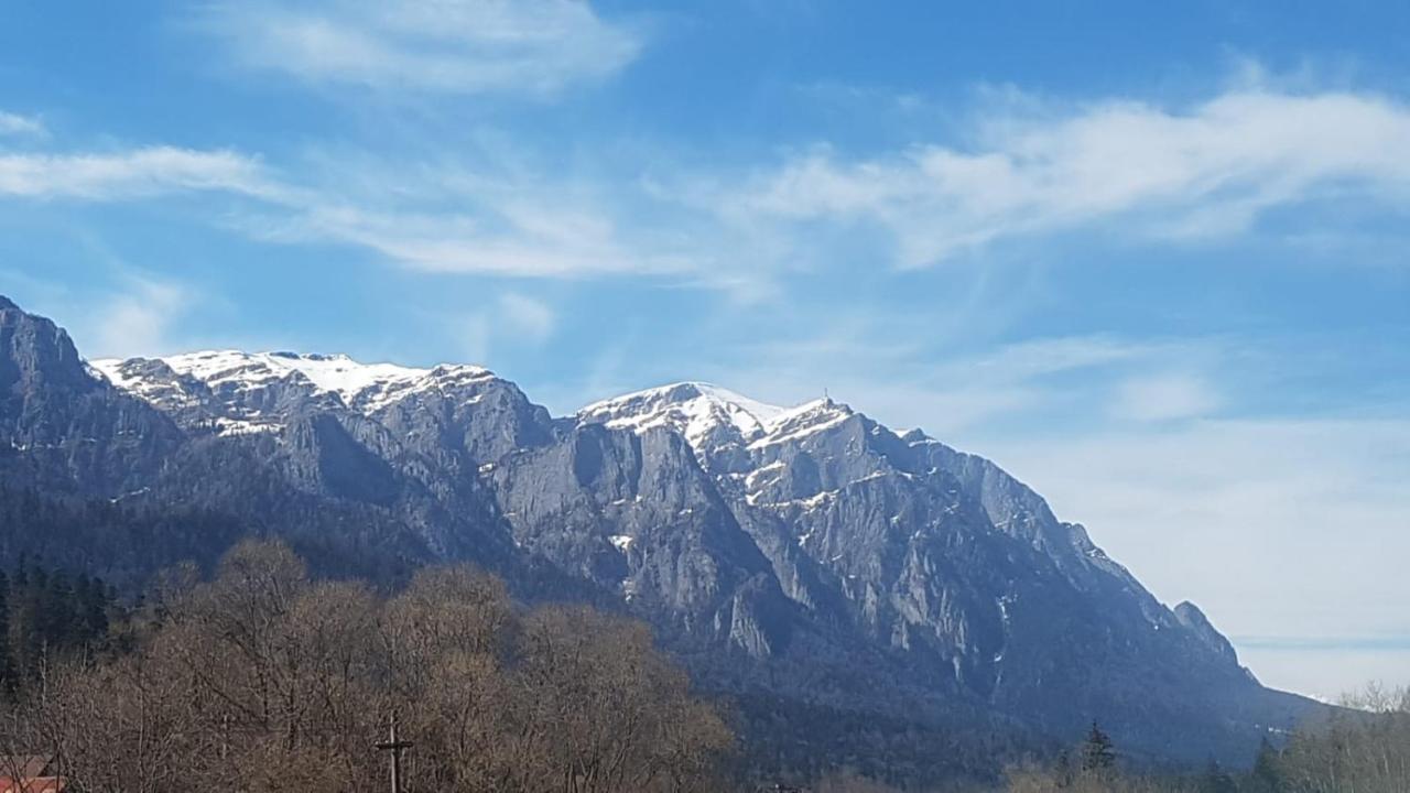 Apartament Greenstar Sinaia Zewnętrze zdjęcie